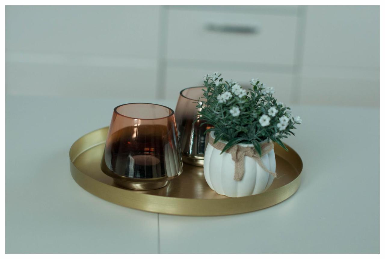 Color 24 Apartament III ستالوفا فولا المظهر الخارجي الصورة