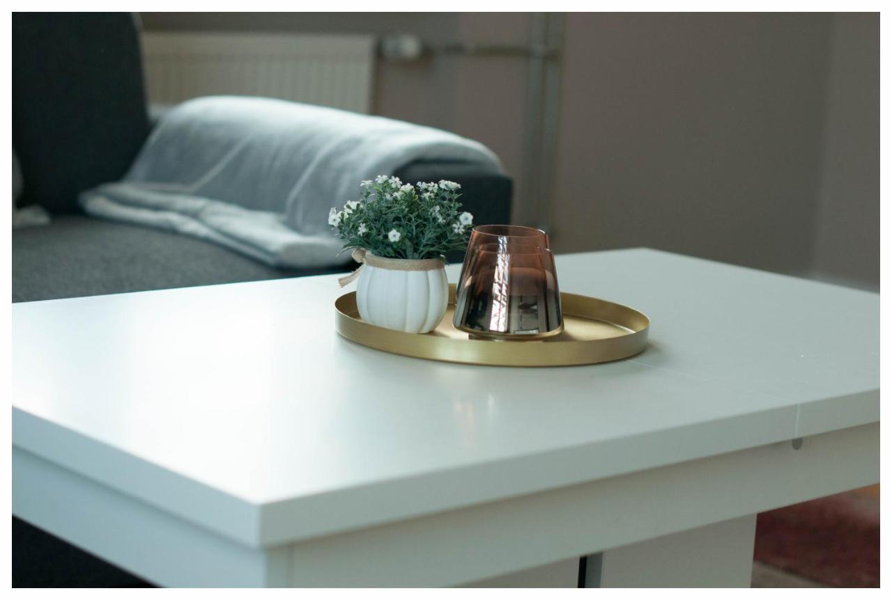 Color 24 Apartament III ستالوفا فولا المظهر الخارجي الصورة