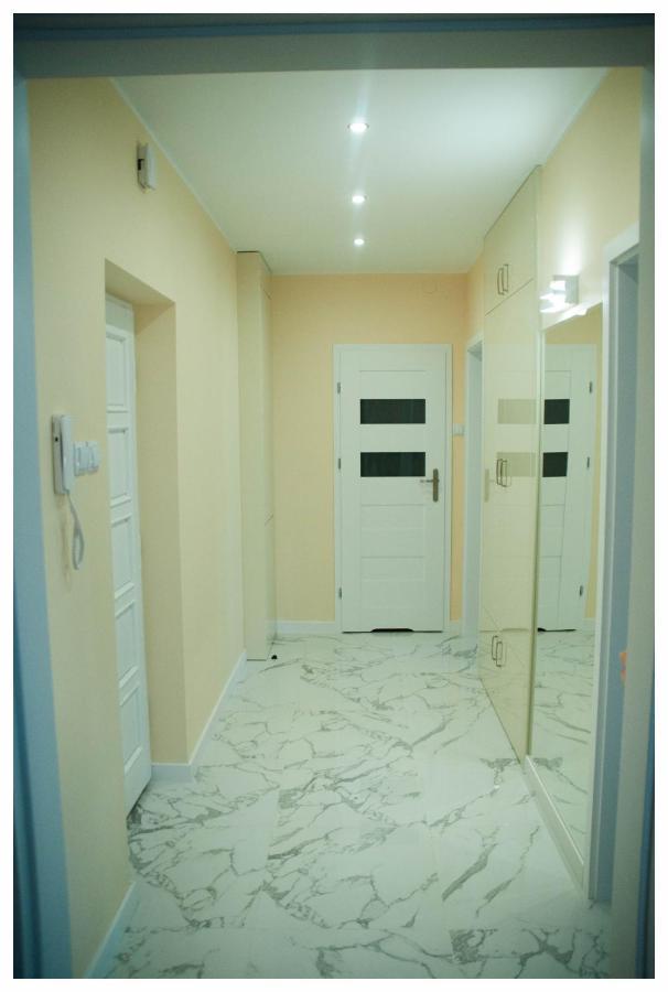 Color 24 Apartament III ستالوفا فولا المظهر الخارجي الصورة