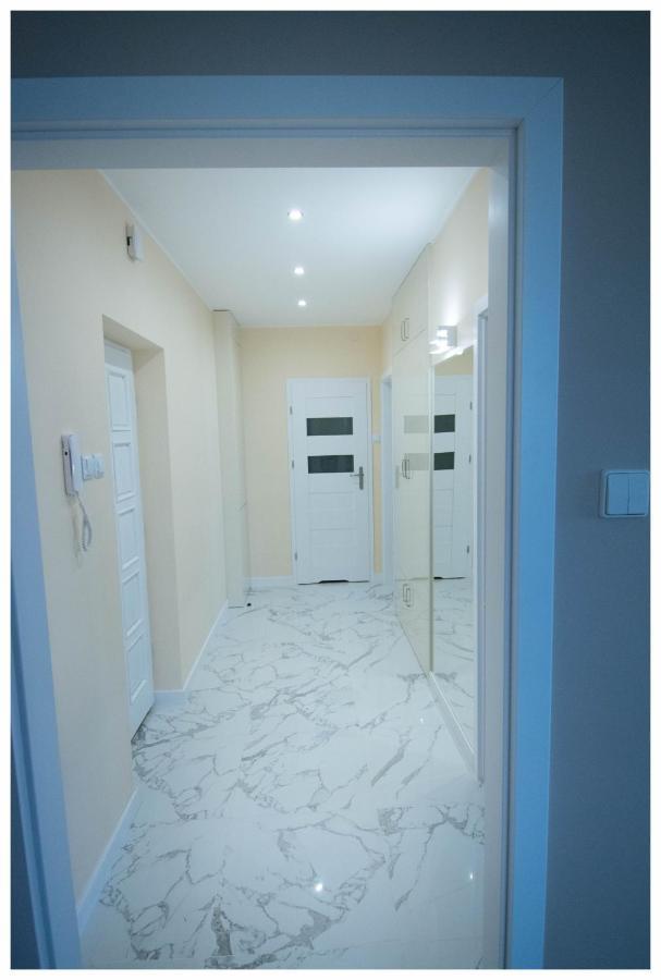Color 24 Apartament III ستالوفا فولا المظهر الخارجي الصورة